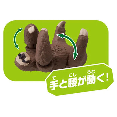 Ania AC-06 Sloth (Child)ㅤ – Takara Tomy – ActionFigureBrasil — close