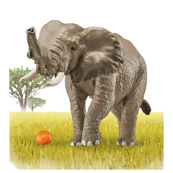 Ania AS-02 African Elephant (w/Orange)ㅤ – Takara Tomy – ActionFigureBrasil