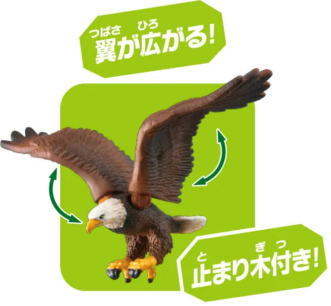 Ania AS-05 Eagle (Bald Eagle)ㅤ – Takara Tomy – ActionFigureBrasil
