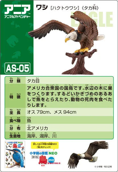 Ania AS-05 Eagle (Bald Eagle)ㅤ – Takara Tomy – ActionFigureBrasil