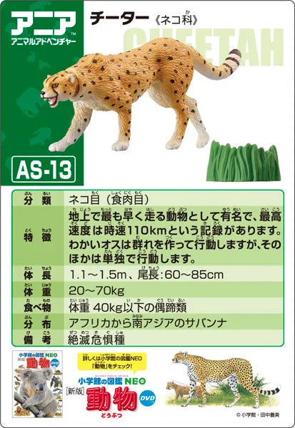 Ania AS-13 Cheetah (Wild Ver.)ㅤ – Takara Tomy – ActionFigureBrasil