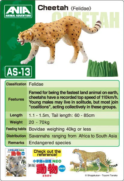 Ania AS-13 Cheetah (Wild Ver.)ㅤ – Takara Tomy – ActionFigureBrasil
