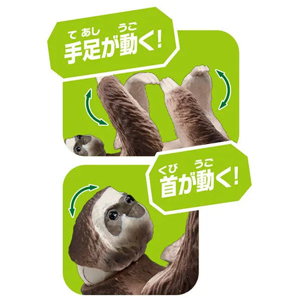 Ania AS-26 Sloth (Brown-throated three-toed sloth)ㅤ – Takara Tomy – ActionFigureBrasil