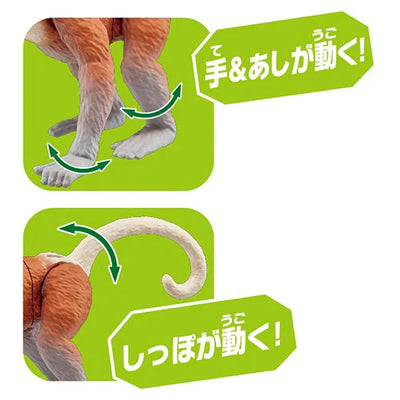 Ania AS-29 Proboscis Monkeyㅤ – Takara Tomy – ActionFigureBrasil — close