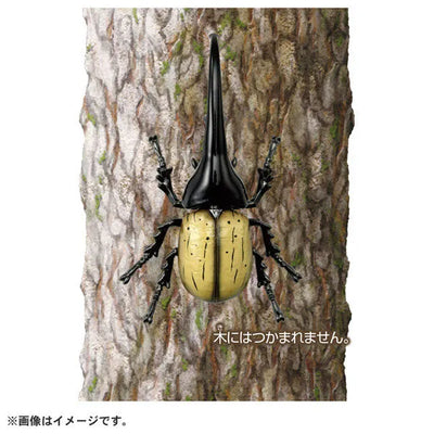 Ania AS-38 Hercules Beetleㅤ – Takara Tomy – ActionFigureBrasil — ângulo diferente