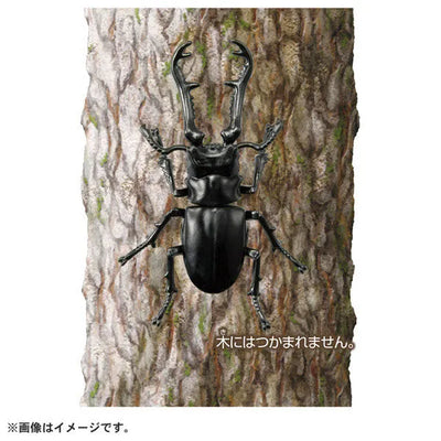 Ania AS-40 Giraffe Stag Beetleㅤ – Takara Tomy – ActionFigureBrasil — ângulo diferente