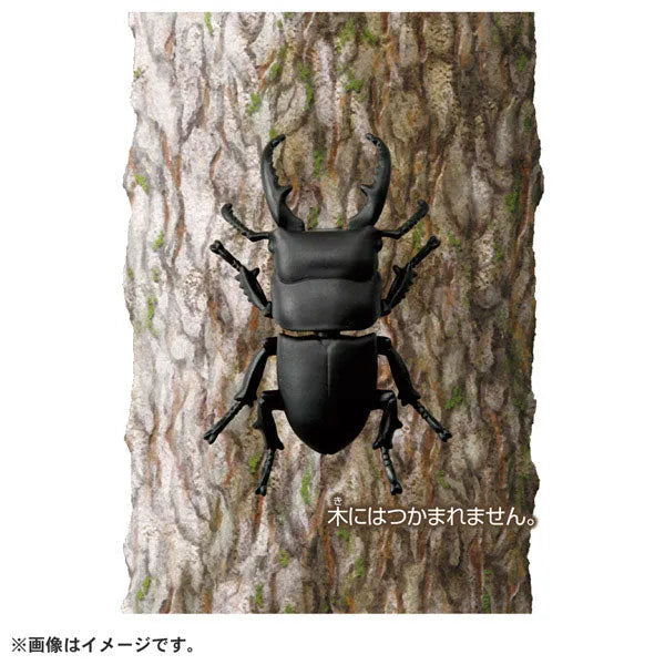 Ania AS-41 Dorcus Titanusㅤ – Takara Tomy – ActionFigureBrasil
