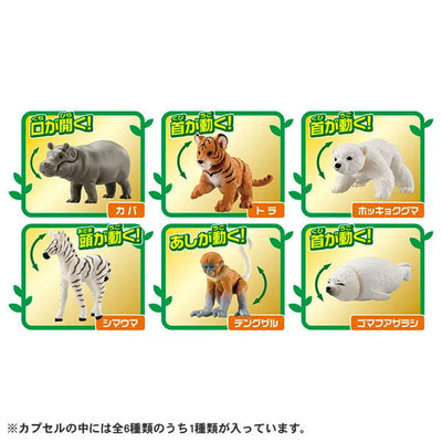 Ania Gacha and Korokoro Capsule 2 12Pack BOXㅤ – Takara Tomy – ActionFigureBrasil — ângulo diferente