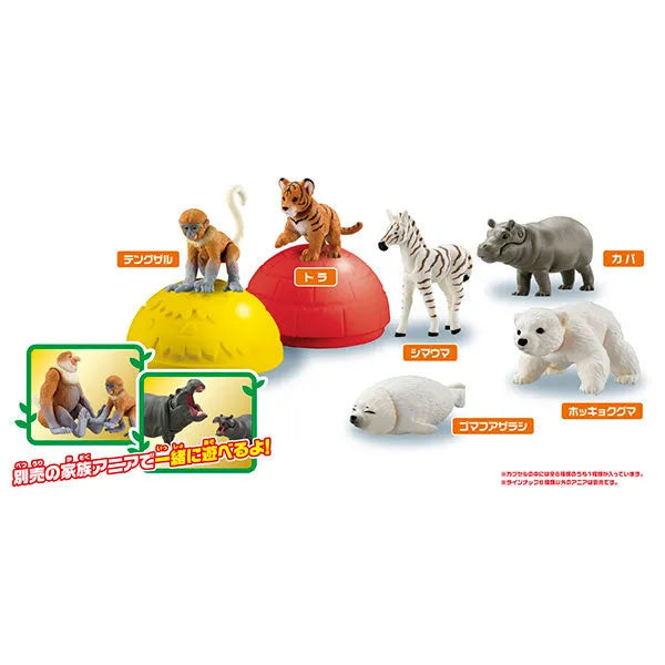 Ania Gacha and Korokoro Capsule 2 12Pack BOXㅤ – Takara Tomy – ActionFigure Brasil — close