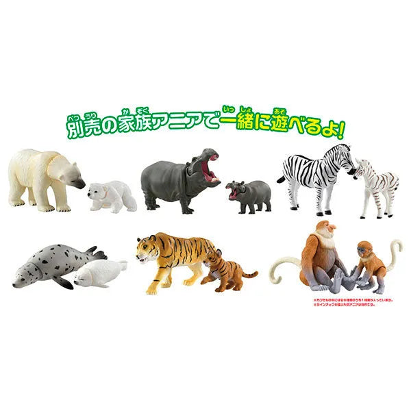 Ania Gacha and Korokoro Capsule 2 12Pack BOXㅤ – Takara Tomy – ActionFigure Brasil — close