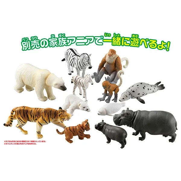 Ania Gacha and Korokoro Capsule 2 12Pack BOXㅤ – Takara Tomy – ActionFigure Brasil — close