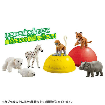 Ania Gacha and Korokoro Capsule 2 12Pack BOXㅤ – Takara Tomy – ActionFigureBrasil — ambientada