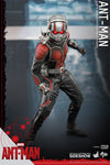 Ant-Man [HOT TOYS] (Expresso)