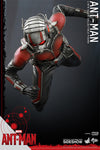 Ant-Man [HOT TOYS] (Expresso)