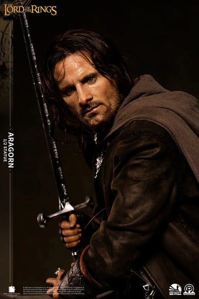 Aragorn - LIMITED EDITION: 499 – Infinity Studio – ActionFigure Brasil — detalhe do produto
