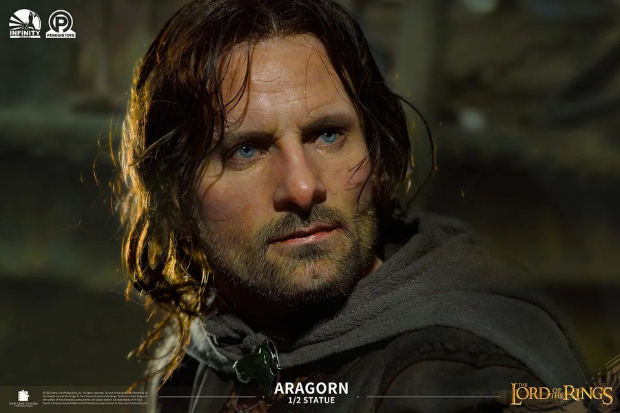 Aragorn - LIMITED EDITION: 499 – Infinity Studio – ActionFigure Brasil
