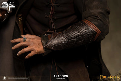 Aragorn - LIMITED EDITION: 499 – Infinity Studio – ActionFigure Brasil — ambientada