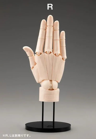 Artist Support Item - Hand Model - 1/1 - R Pale Orange (Kotobukiya)ㅤ – Kotobukiya – ActionFigureBrasil — detalhe do produto