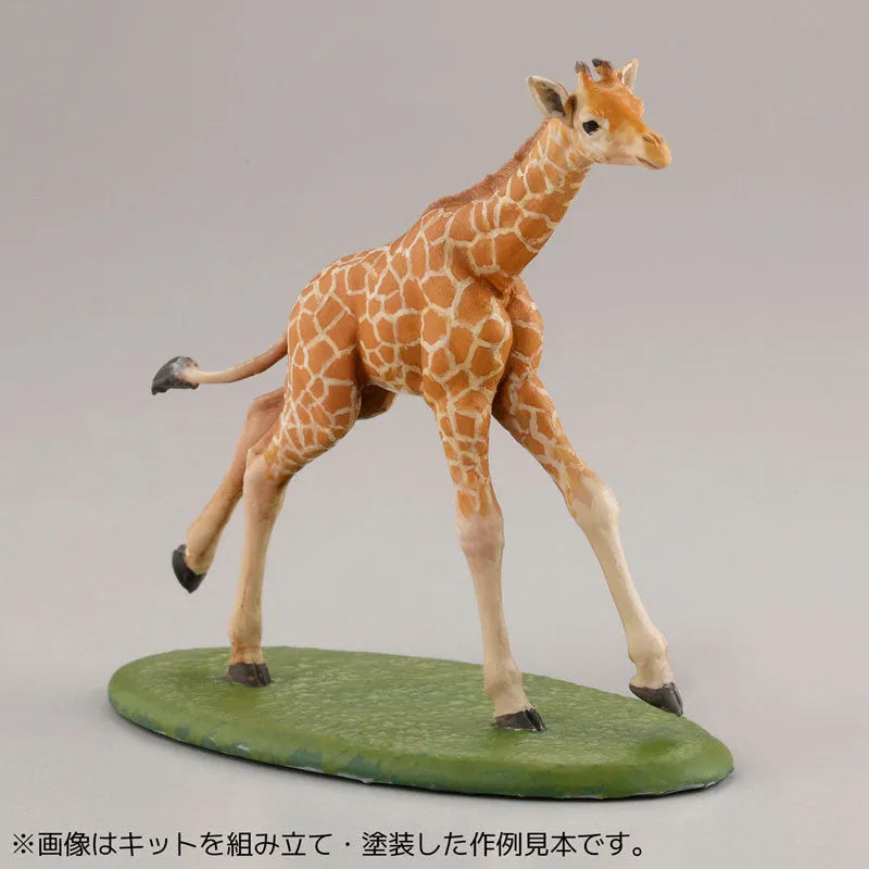 ARTPLA Zookeepers and Baby Gorilla Set 6Pack BOXㅤ – Kaiyodo – ActionFigureBrasil