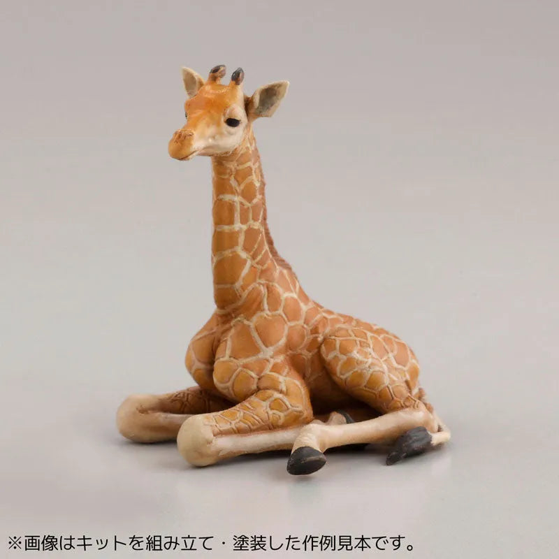 ARTPLA Zookeepers and Baby Gorilla Set 6Pack BOXㅤ – Kaiyodo – ActionFigureBrasil