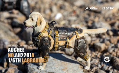 Auchee x JXK Studio 1/6 Labrador Aㅤ – JXK Studio – ActionFigureBrasil — detalhe do produto