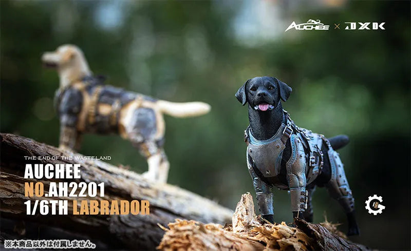 Auchee x JXK Studio 1/6 Labrador Aㅤ – JXK Studio – ActionFigureBrasil
