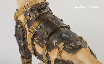 Auchee x JXK Studio 1/6 Labrador Aㅤ – JXK Studio – ActionFigureBrasil — acessórios