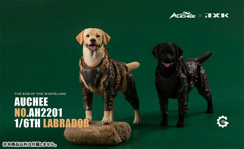 Auchee x JXK Studio 1/6 Labrador Aㅤ – JXK Studio – ActionFigureBrasil