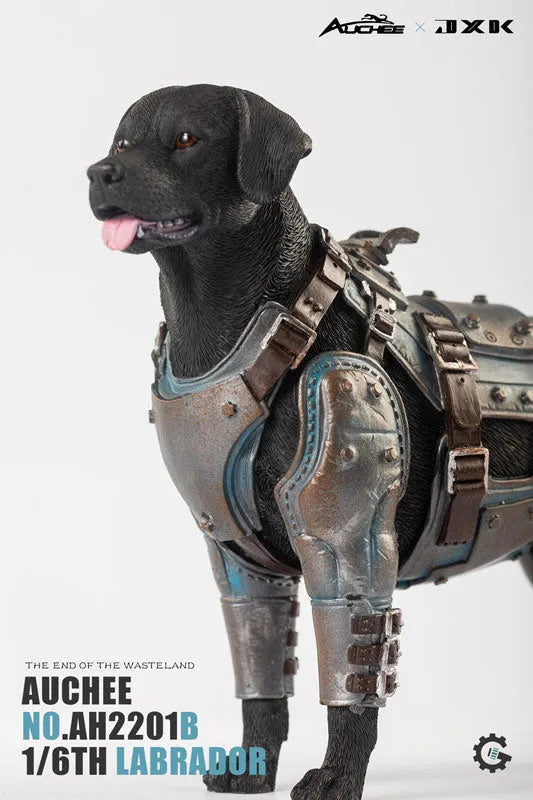 Auchee x JXK Studio 1/6 Labrador Bㅤ – JXK Studio – ActionFigureBrasil