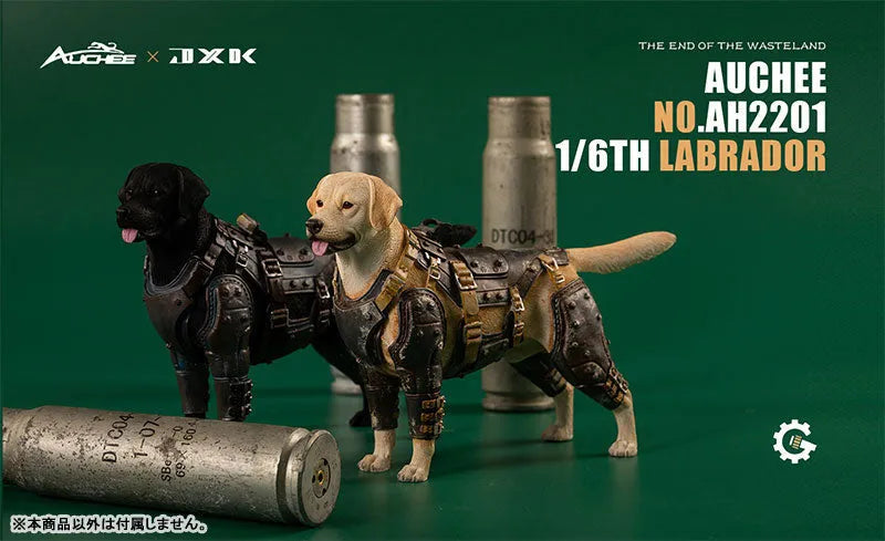 Auchee x JXK Studio 1/6 Labrador Bㅤ – JXK Studio – ActionFigureBrasil
