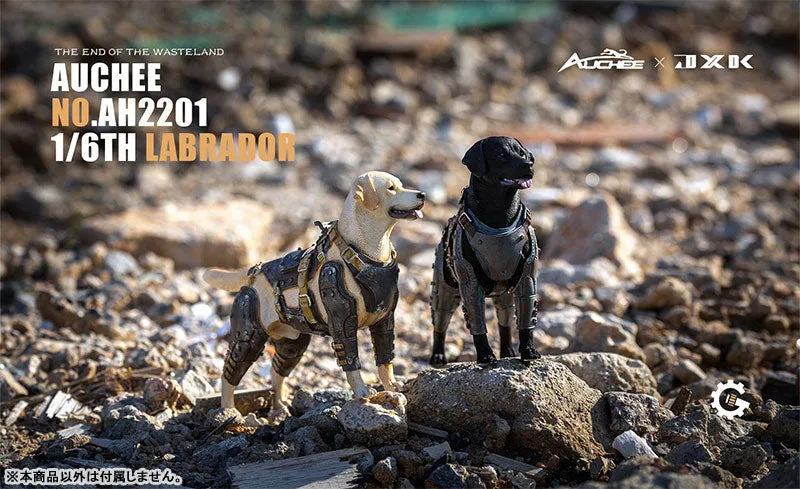 Auchee x JXK Studio 1/6 Labrador Bㅤ – JXK Studio – ActionFigureBrasil