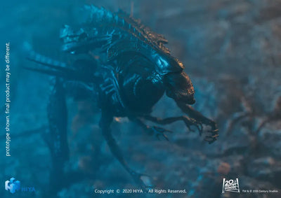 AVP 1/18 Action Figure Alien Queen - Battle Damageㅤ – Hiya Toys – ActionFigureBrasil — acessórios