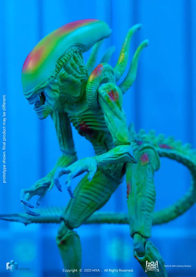 AVP 1/18 Action Figure Thermal Vision Alien Warriorㅤ – Hiya Toys – ActionFigureBrasil — close