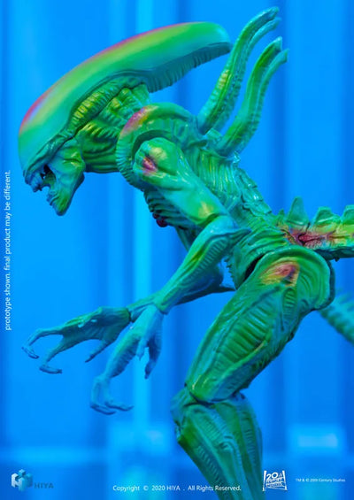 AVP 1/18 Action Figure Thermal Vision Alien Warriorㅤ – Hiya Toys – ActionFigureBrasil — ambientada