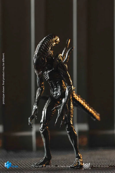 AVP2 1/18 Action Figure Zeno Warriorㅤ – Hiya Toys – ActionFigureBrasil — com base expositora