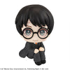 Harry Potter - Harry Potter - Look Up (MegaHouse)ㅤ
