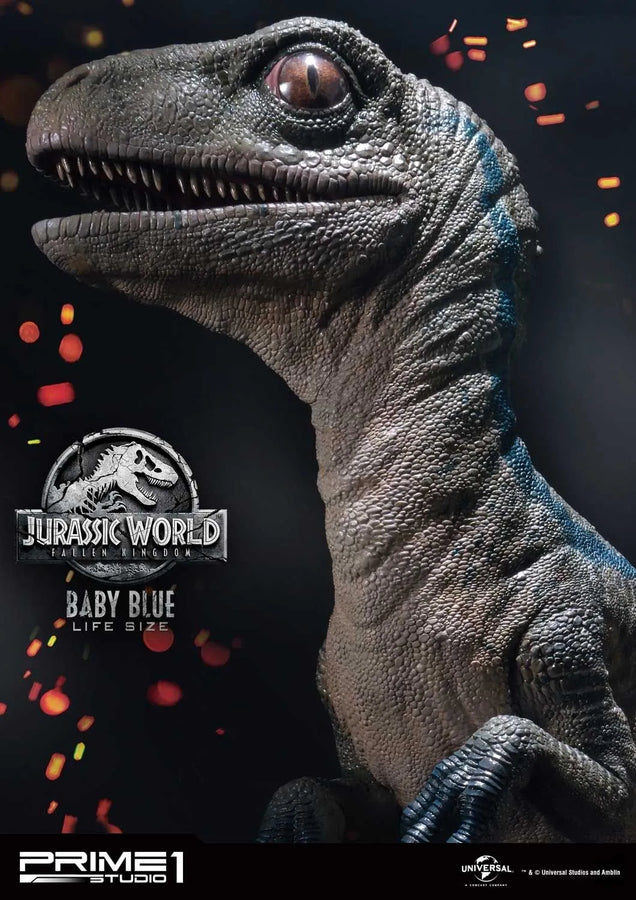 Baby Blue (Regular Version) Jurassic World: Fallen Kingdom (Film) – Prime1Studio – ActionFigure Brasil
