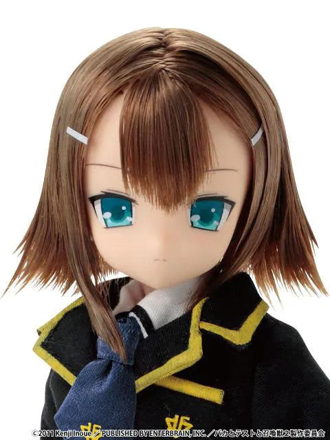 Baka to Test to Shoukanjuu - Kinoshita Hideyoshi - Asterisk Collection Series - PureNeemo - 003 - 1/6 (Azone)ㅤ – Azone – ActionFigureBrasil