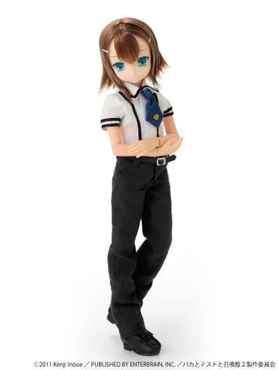 Baka to Test to Shoukanjuu - Kinoshita Hideyoshi - Asterisk Collection Series - PureNeemo - 003 - 1/6 (Azone)ㅤ – Azone International – ActionFigureBrasil — detalhe do produto