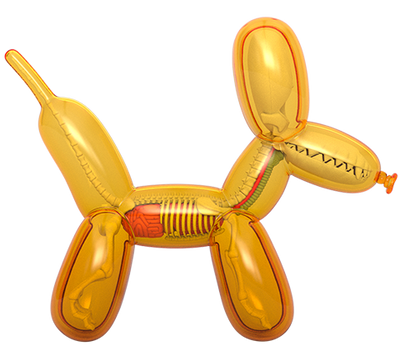Balloon Dog Anatomy (Honey Edition) – Mighty Jaxx – ActionFigure Brasil
