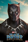 Black Panther - LIMITED EDITION: 2500