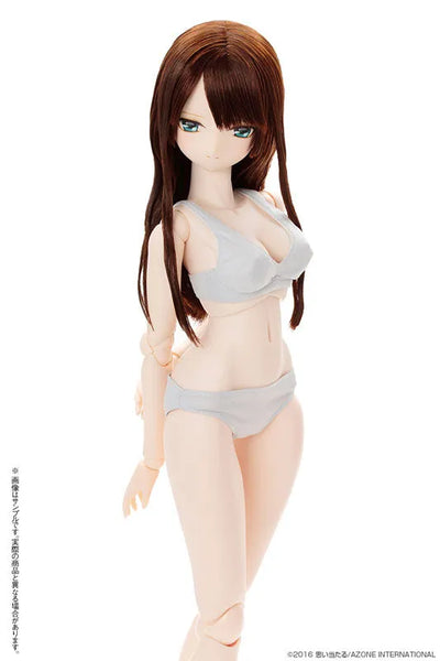 Black Raven Series - Cecily / Edge of Echoes -Tsuioku no Shoujo- Complete Dollㅤ – Azone International – ActionFigureBrasil — embalagem