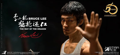 Bruce Lee – Star Ace Toys Ltd. – ActionFigure Brasil — detalhe do produto