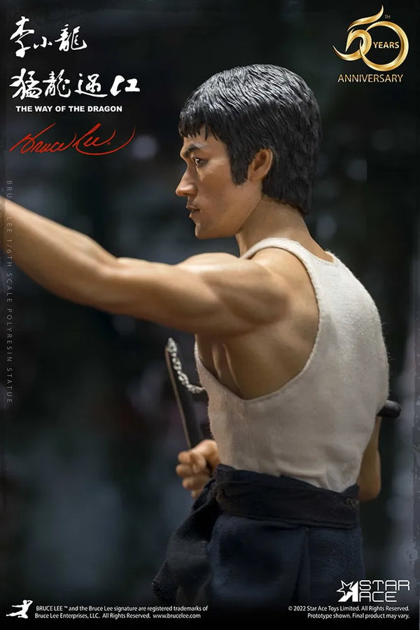 Bruce Lee – Star Ace Toys Ltd. – ActionFigure Brasil