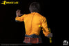 Bruce Lee - LIMITED EDITION: 502 - ActionFigure Brasil