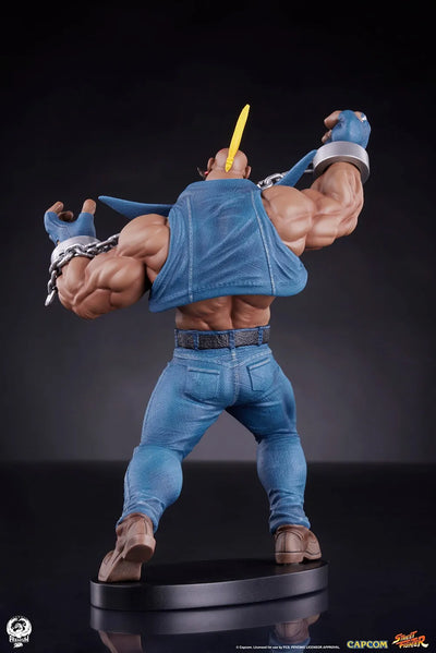 Cammy & Birdie – PCS – ActionFigure Brasil — close