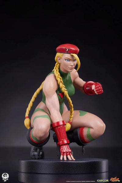 Cammy & Birdie – PCS – ActionFigure Brasil — ambientada