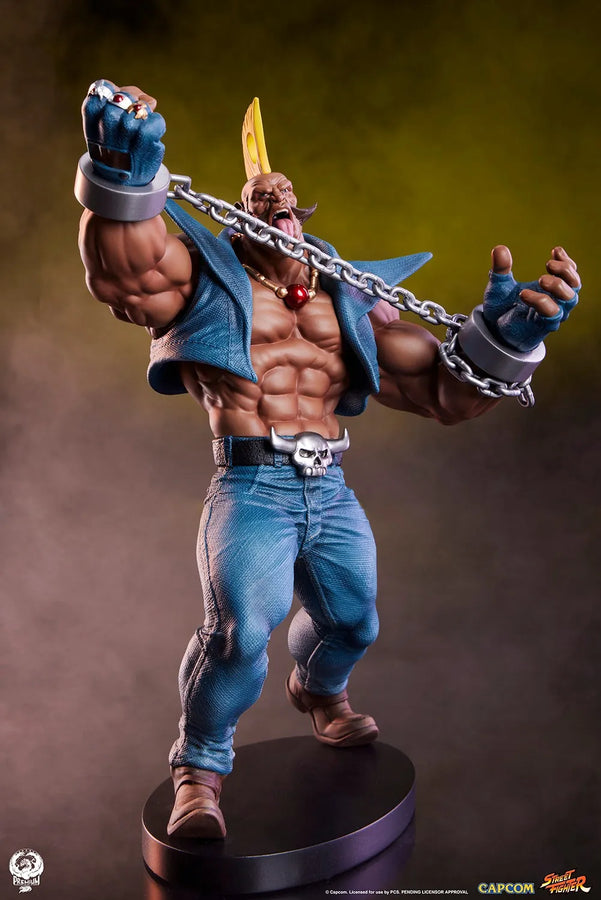 Cammy & Birdie – PCS – ActionFigure Brasil