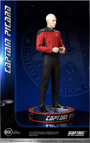 Captain Picard - LIMITED EDITION: 150 – DarkSide Collectibles Studio – ActionFigure Brasil — ângulo diferente