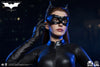 Catwoman (Selina Kyle) - LIMITED EDITION: 399 - ActionFigure Brasil